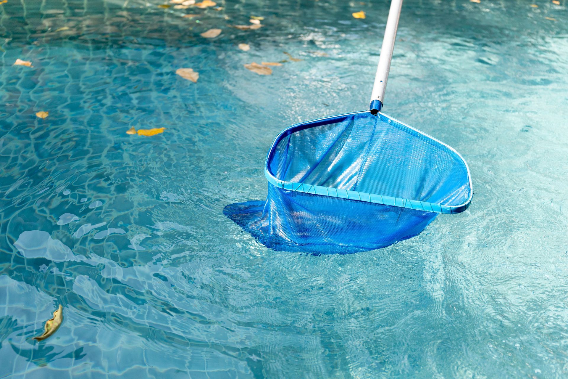 Pool Cleaning in Morada, CA Pool Cleaning in Morada, CA