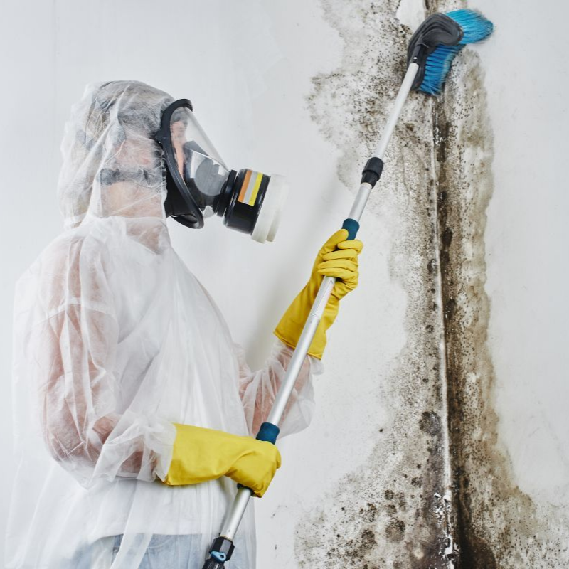Mold remediation worker in protective gear spraying a moldy wall with a cleaning solution in Nashville, TN