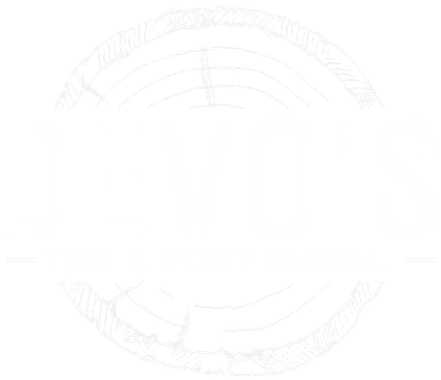 Faint circular decorative emblem with engraved text around the edge on a white background