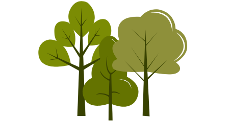 Trail Run Association