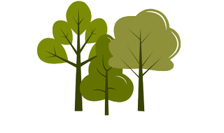 Trail Run Association