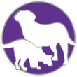 CENTRO VETERINARIO DR LINARES