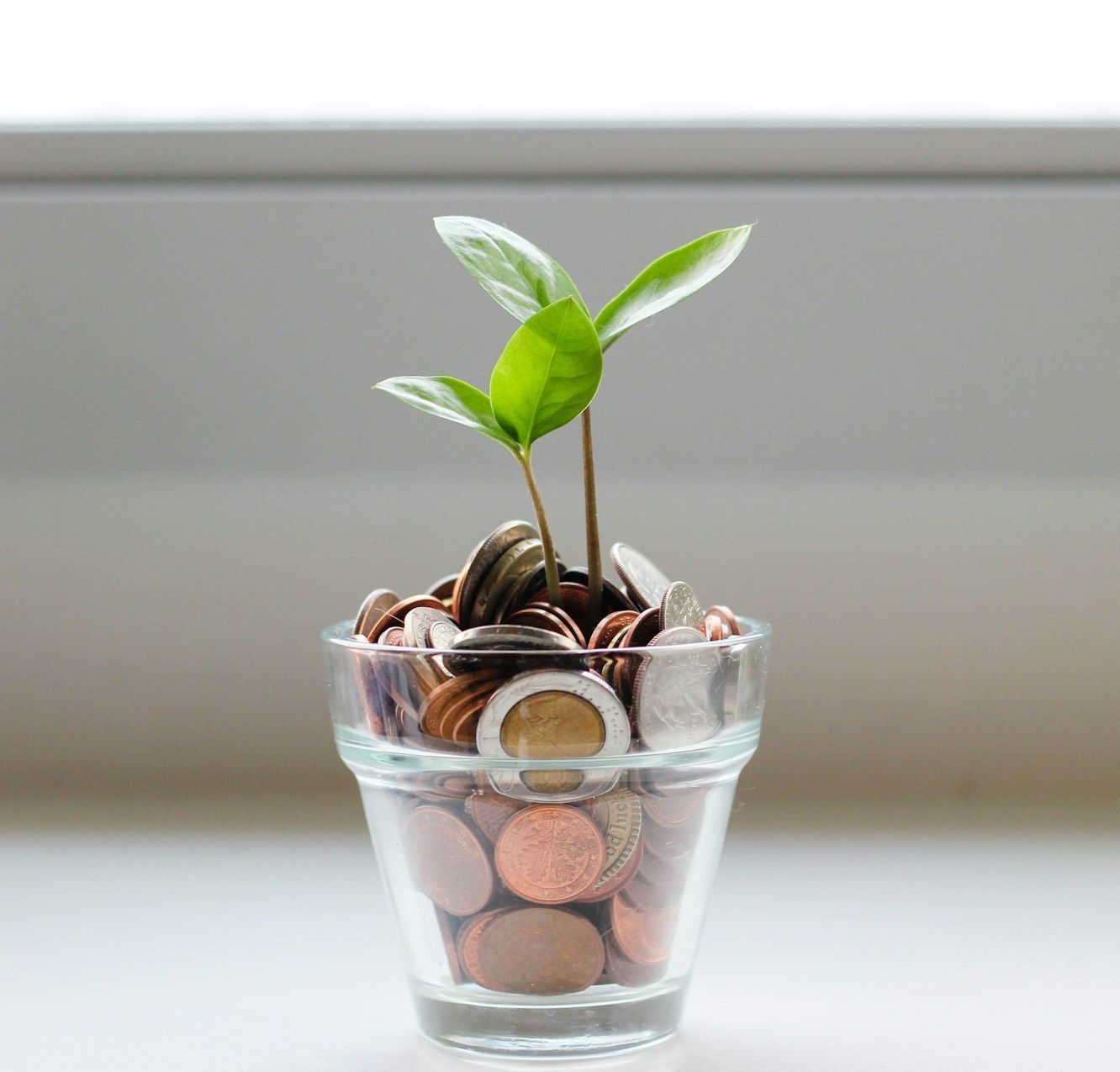 A plant is growing out of a glass filled with coins.