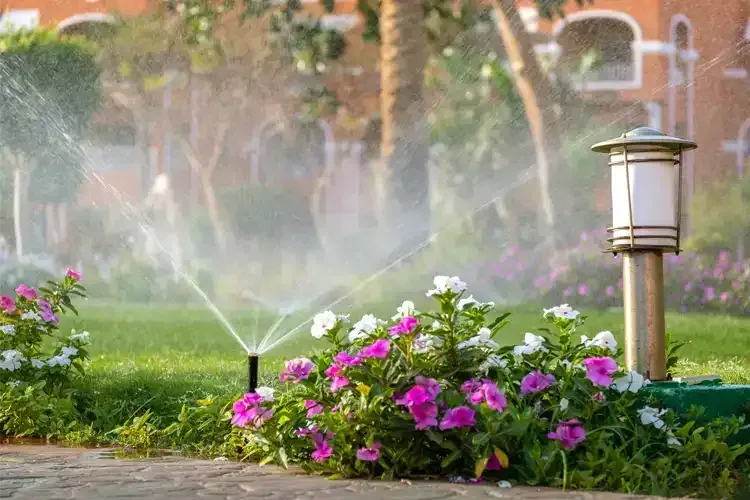 A sprinkler is spraying water on flowers in a garden.