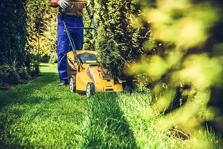 A man is using a yellow lawn mower to cut the grass.