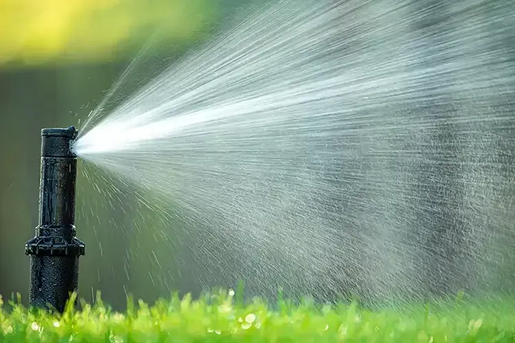 A close up of a sprinkler spraying water on a lush green lawn.