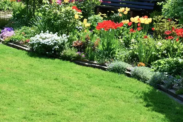 A lush green lawn surrounded by flowers and a bench.