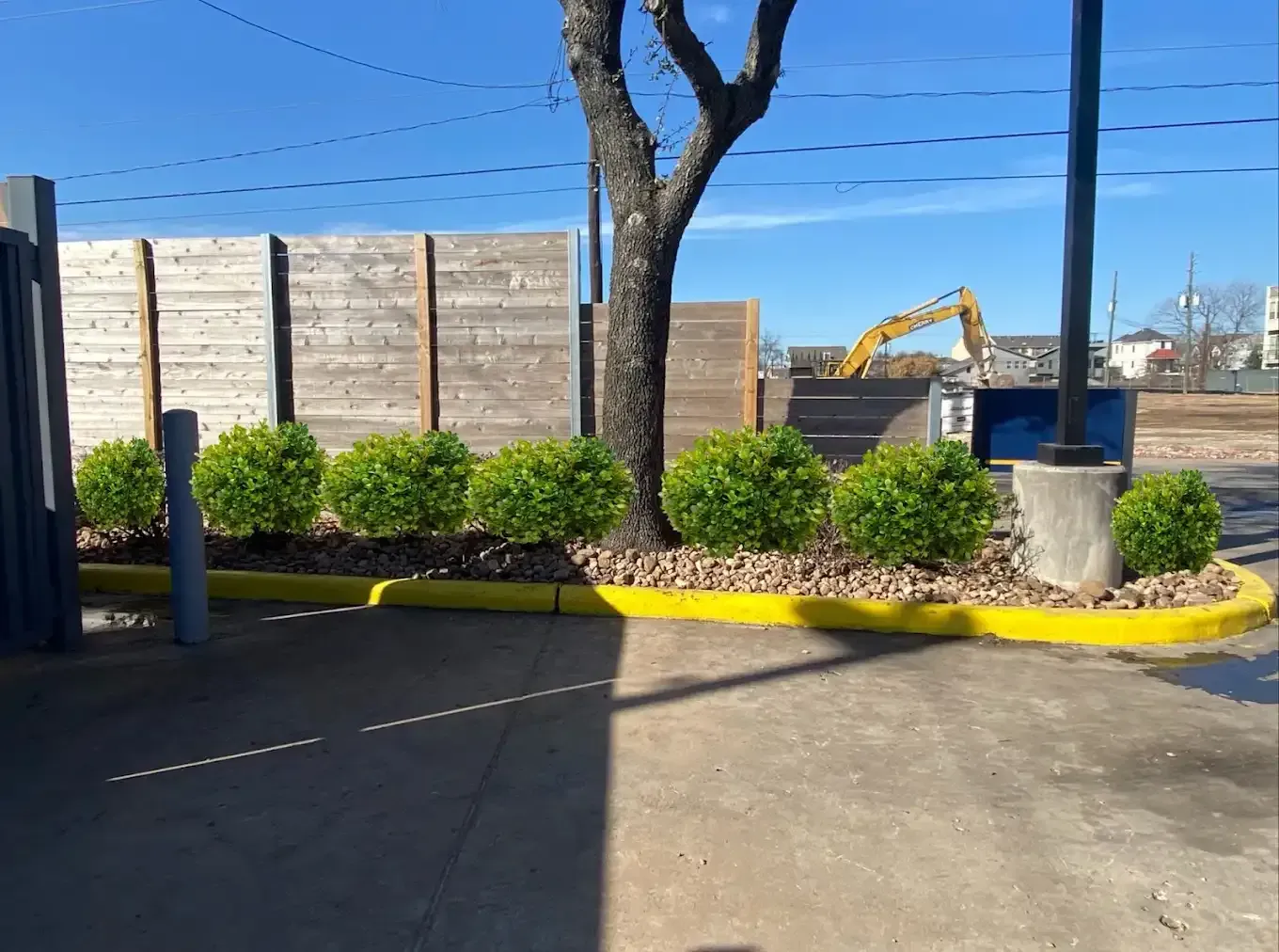 A yellow curb with a tree in the background