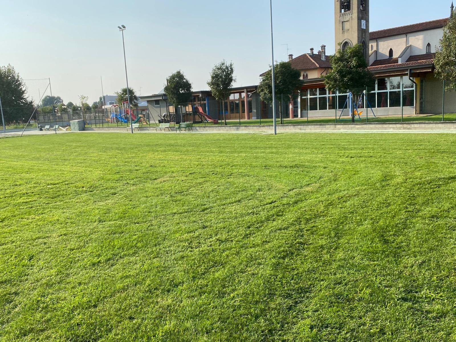 Parco soleggiato con un ampio prato verde, alberi e un edificio con una torre dell'orologio sullo sfondo.