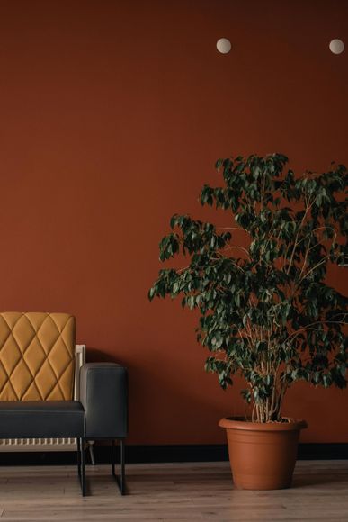 Modern room corner with orange wall, potted tree, and part of a tufted sofa