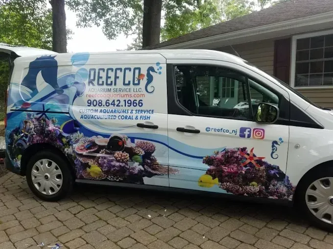White service van with floral ocean graphics and business signage parked in a driveway
