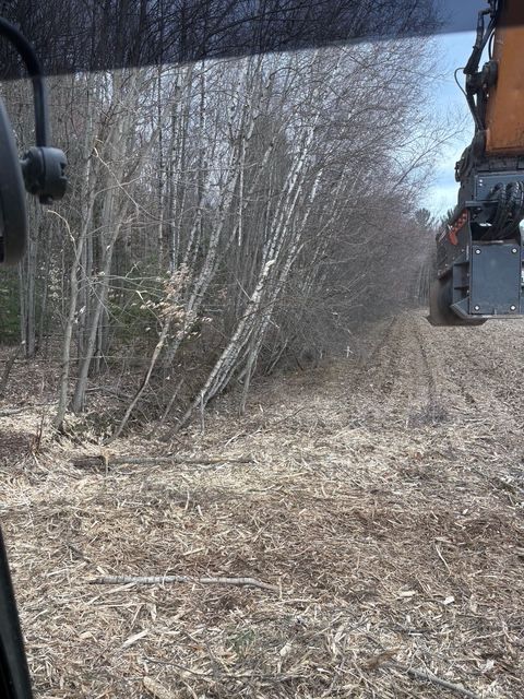 Une excavatrice dégage les broussailles en bordure d'un sentier boisé à la fin de l'hiver.