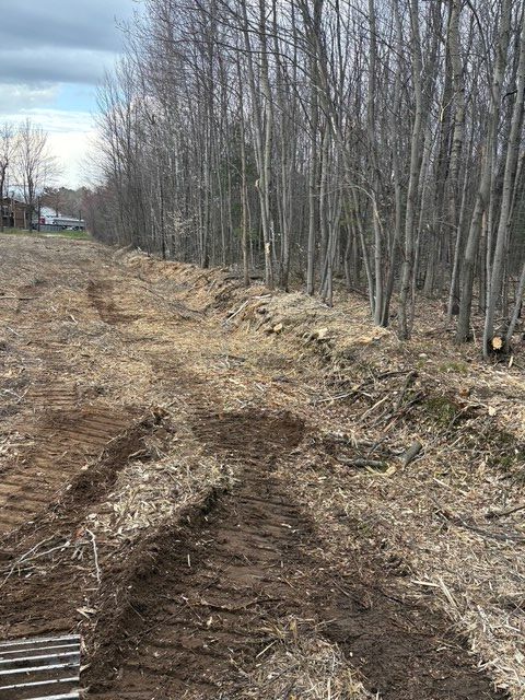 Ornières de boue au bord d'une forêt dénudée sous un ciel nuageux