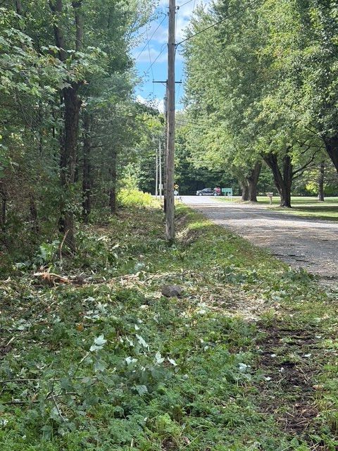 Chemin de gravier bordé d'arbres, avec un poteau électrique et une végétation luxuriante par une journée ensoleillée.