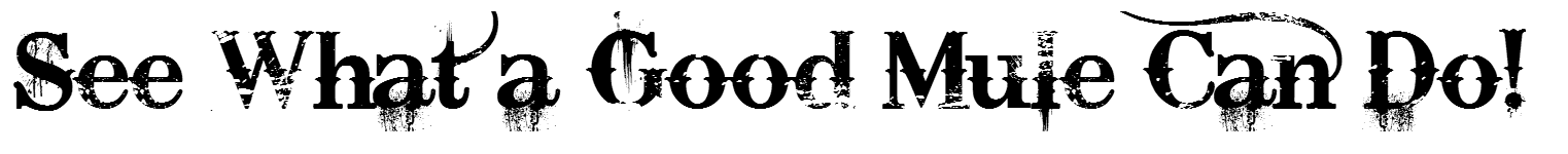 Text in a bold, dark, stylized serif font reads: