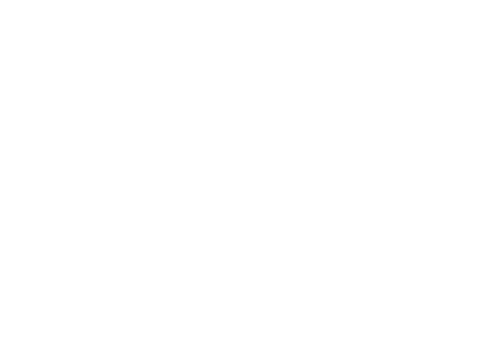 logo danian