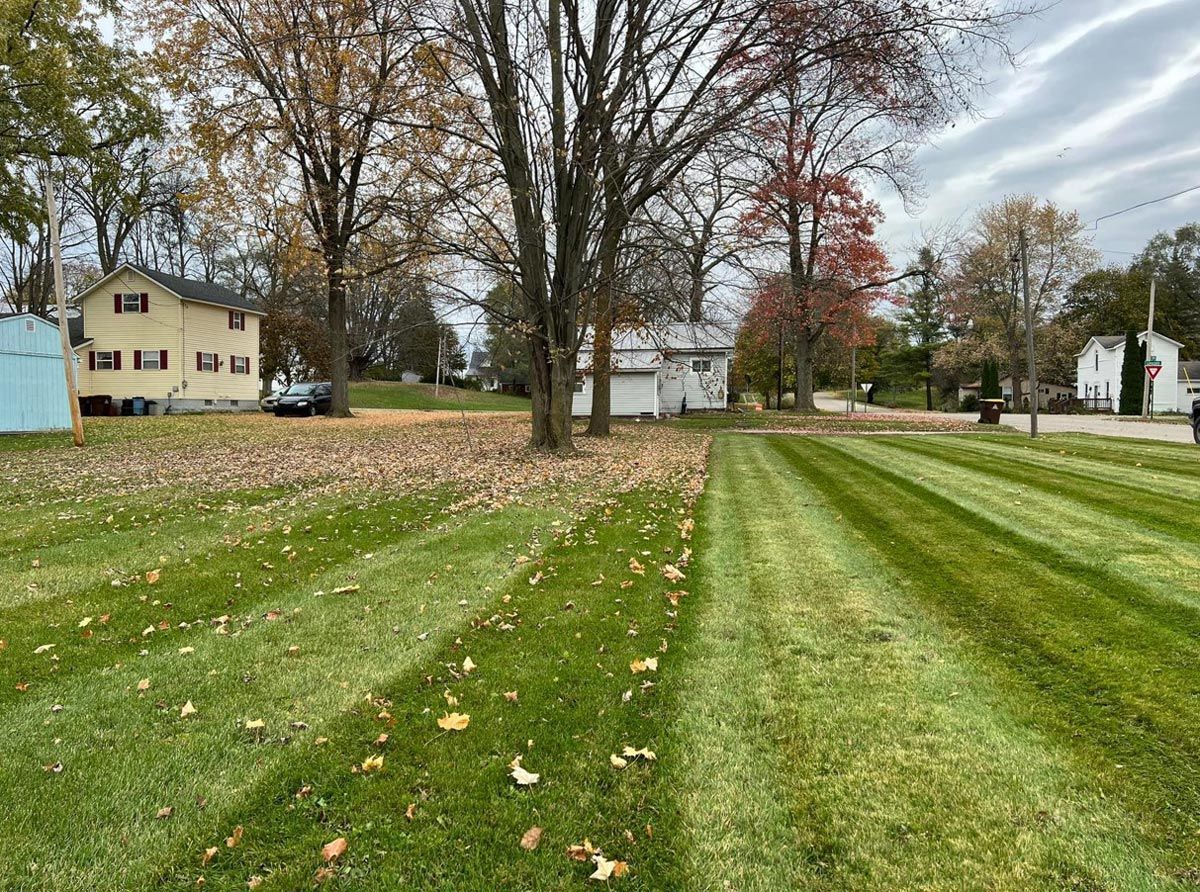 Landscaping Maintenance