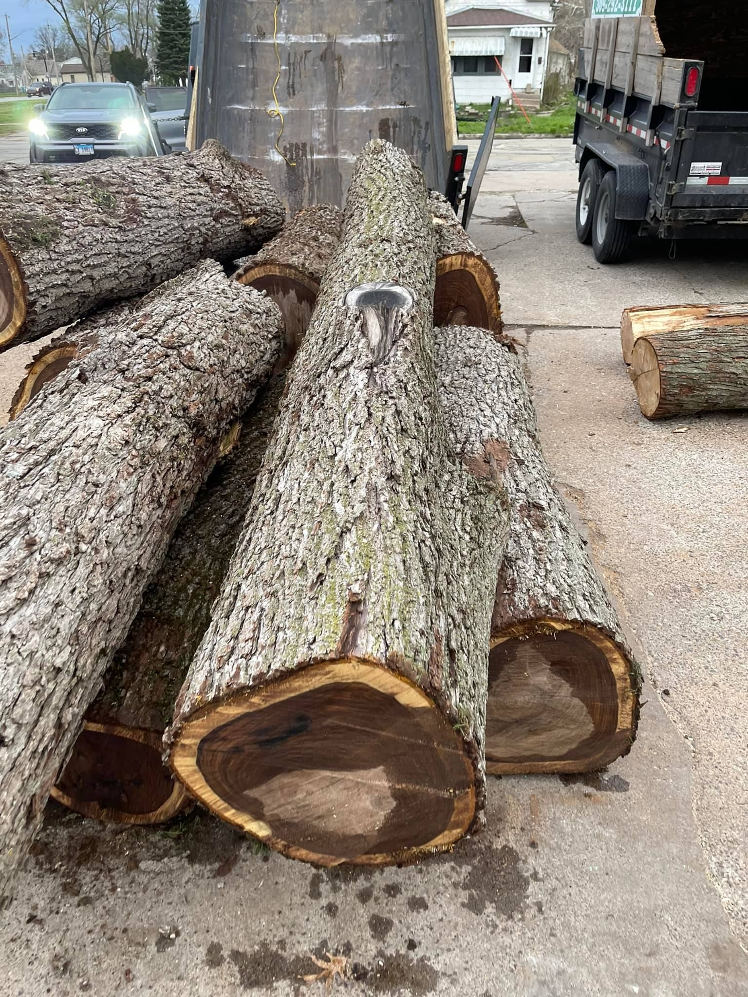 Large cut logs stacked in a driveway beside a truck and street.