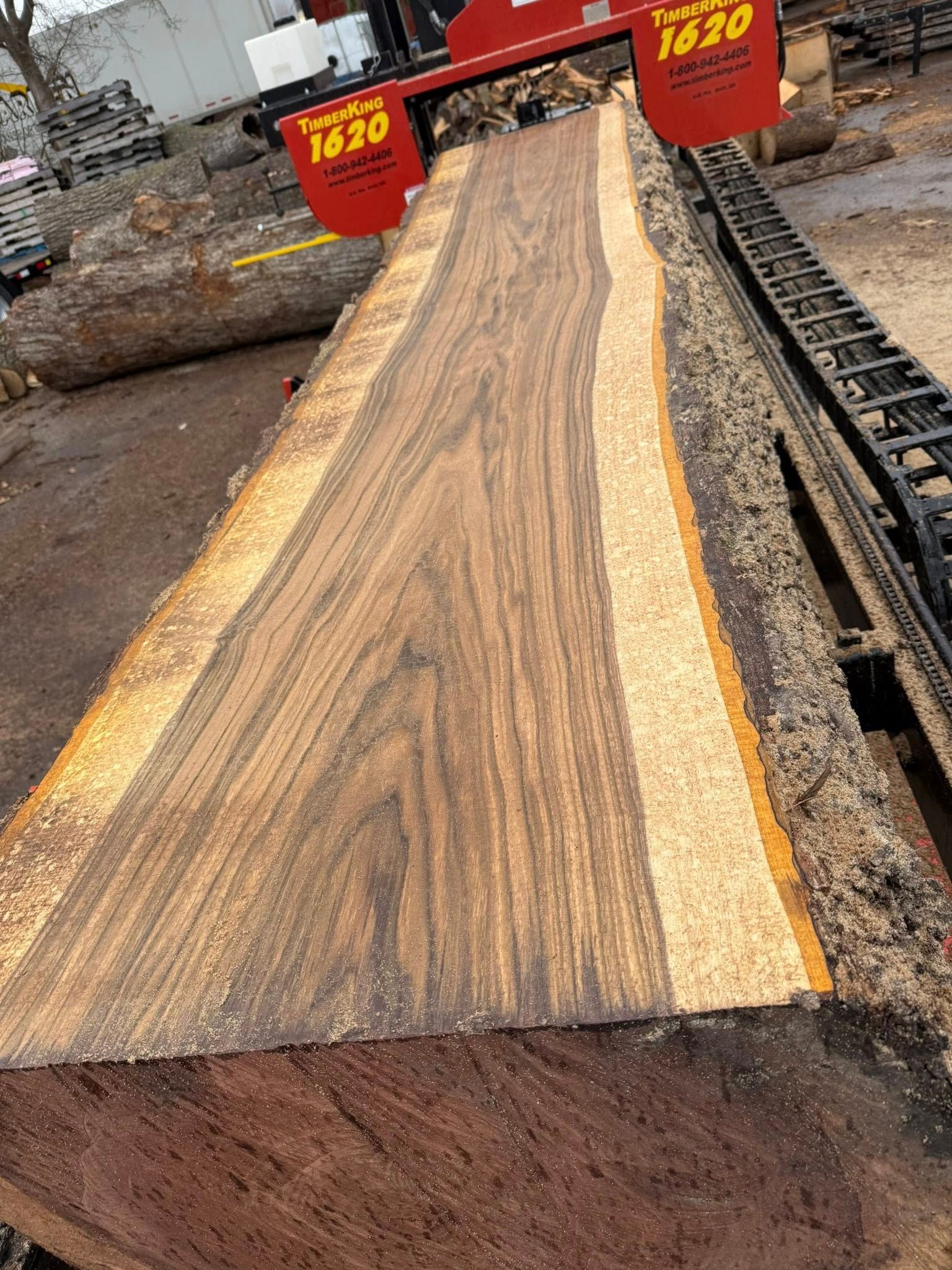 Freshly cut log slab with bark edges on a lumber yard conveyor or sorting area