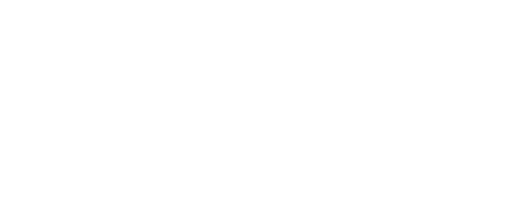 ACCESS EQUIPMENT logo white