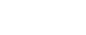 ACCESS EQUIPMENT logo white