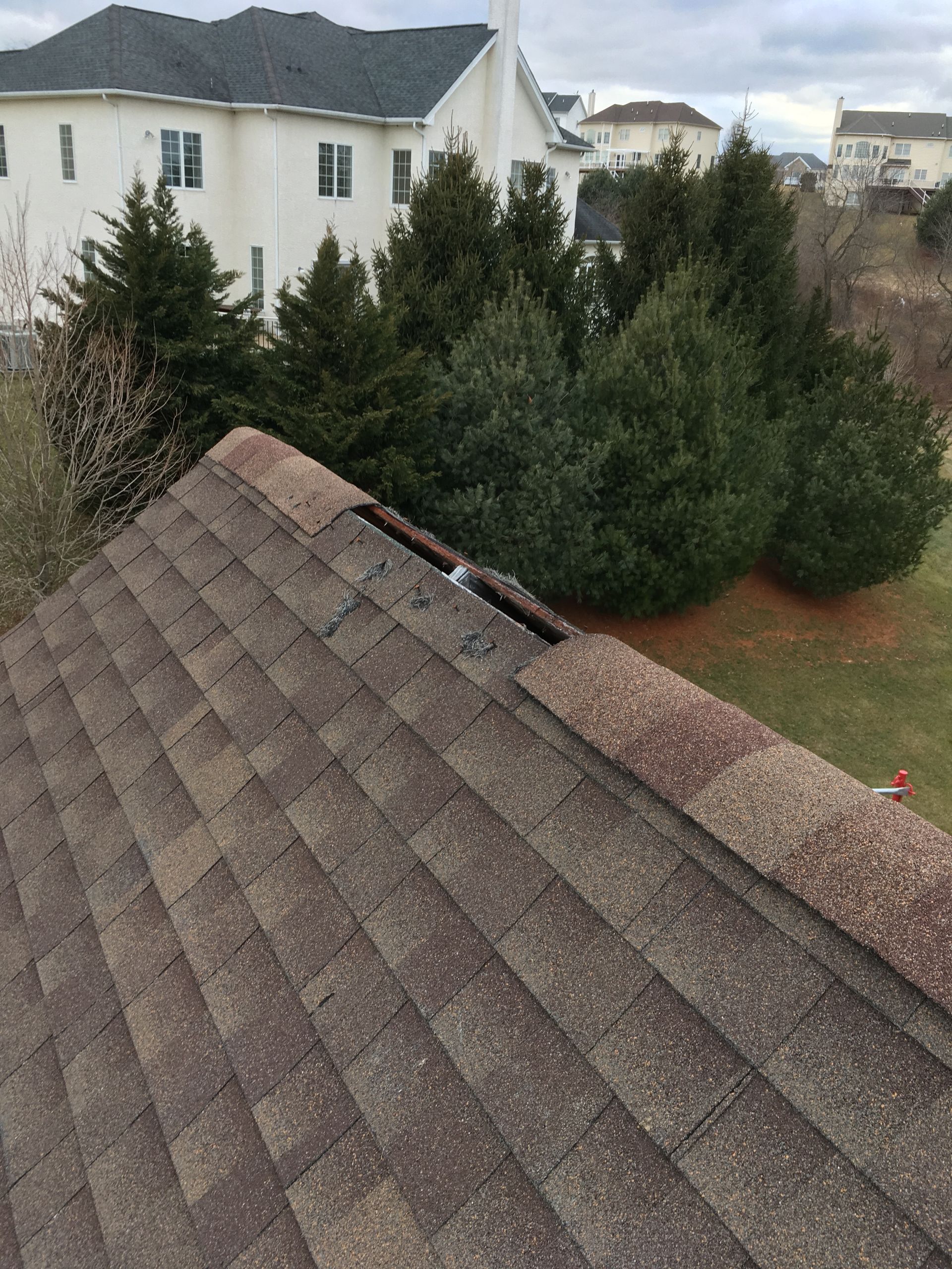 Brown asphalt shingle roof with a missing section, green trees, and a white house in the background.
