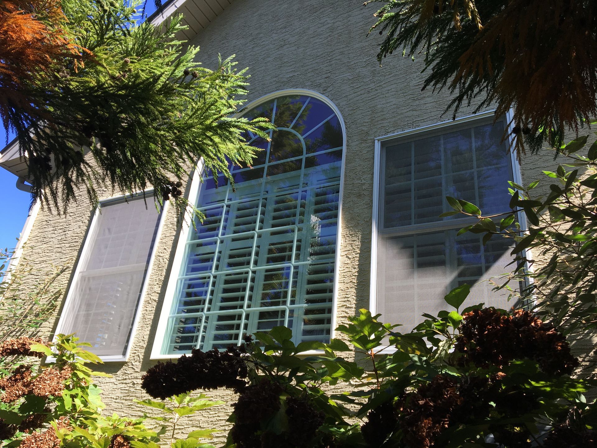 windows & doors
