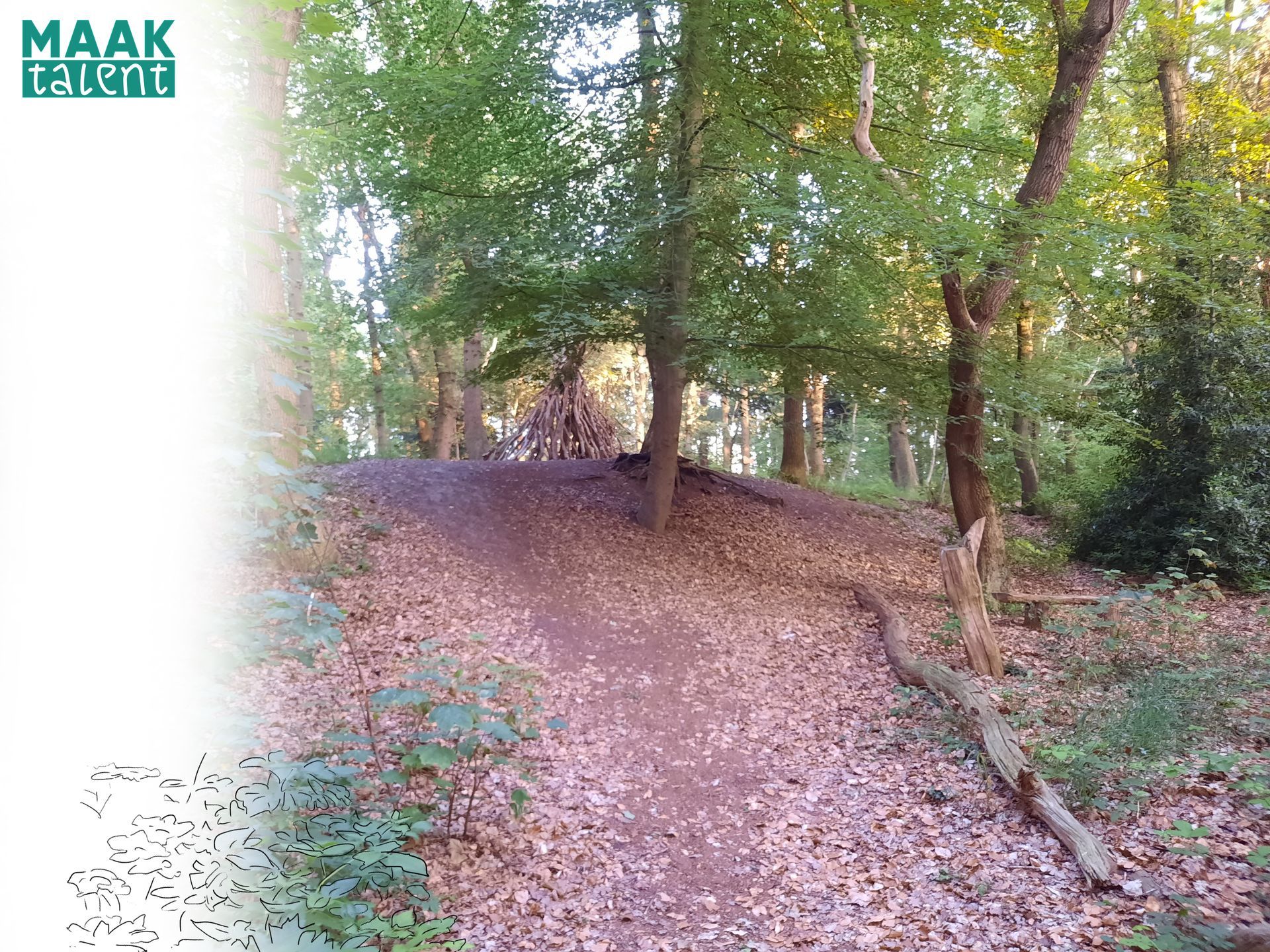 Een heuvel in het bos, waarop door de kinderen een takkenhut is gebouwd.