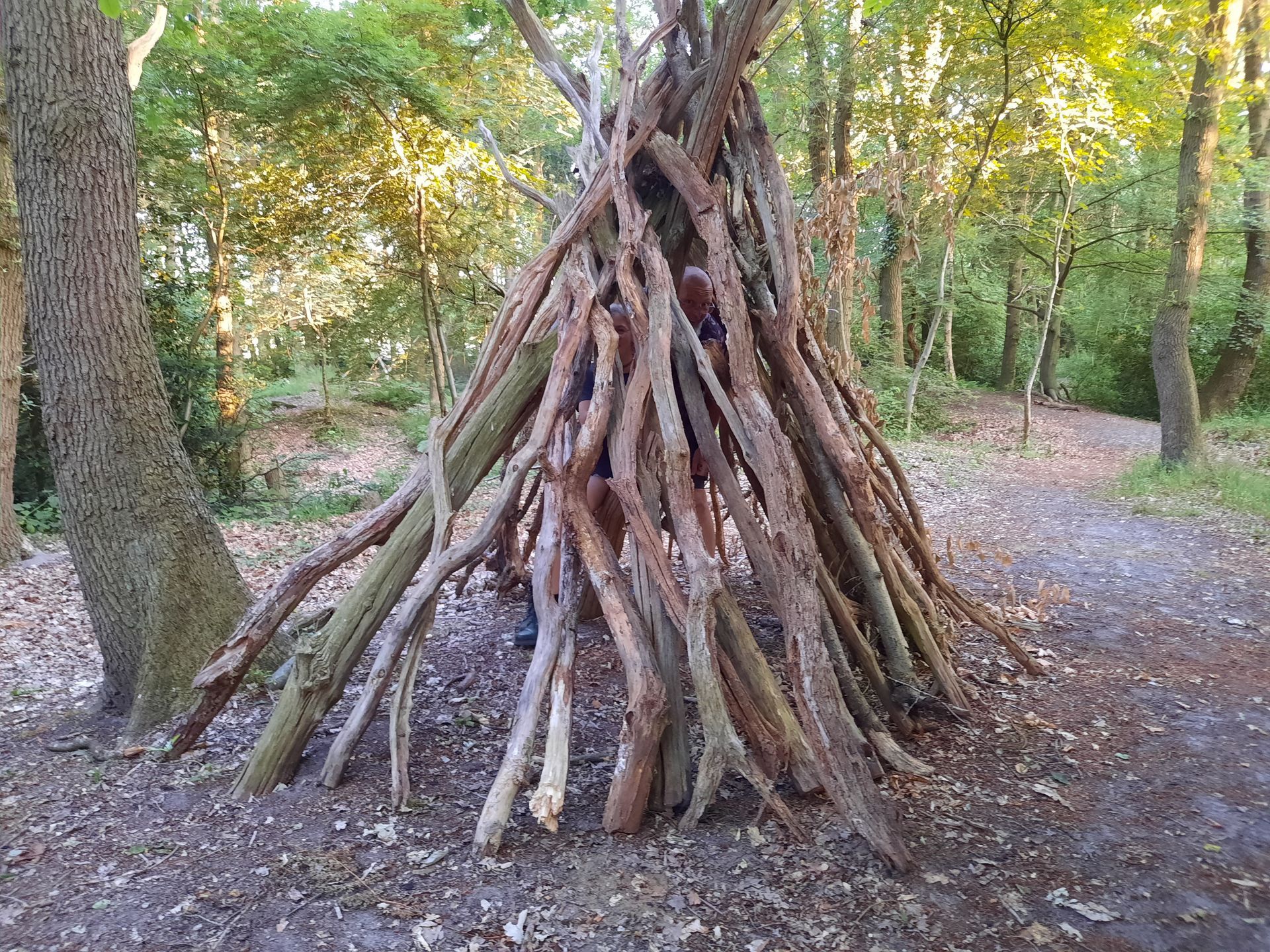 Takkenhut gemaakt door kinderen van groep 6 in het bos.