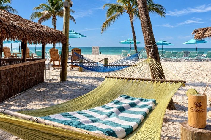 Hammock with a striped towel and a frozen drink in a Cedar Cove bamboo cup on the beach at Cedar Cove Resort, Anna Maria Island