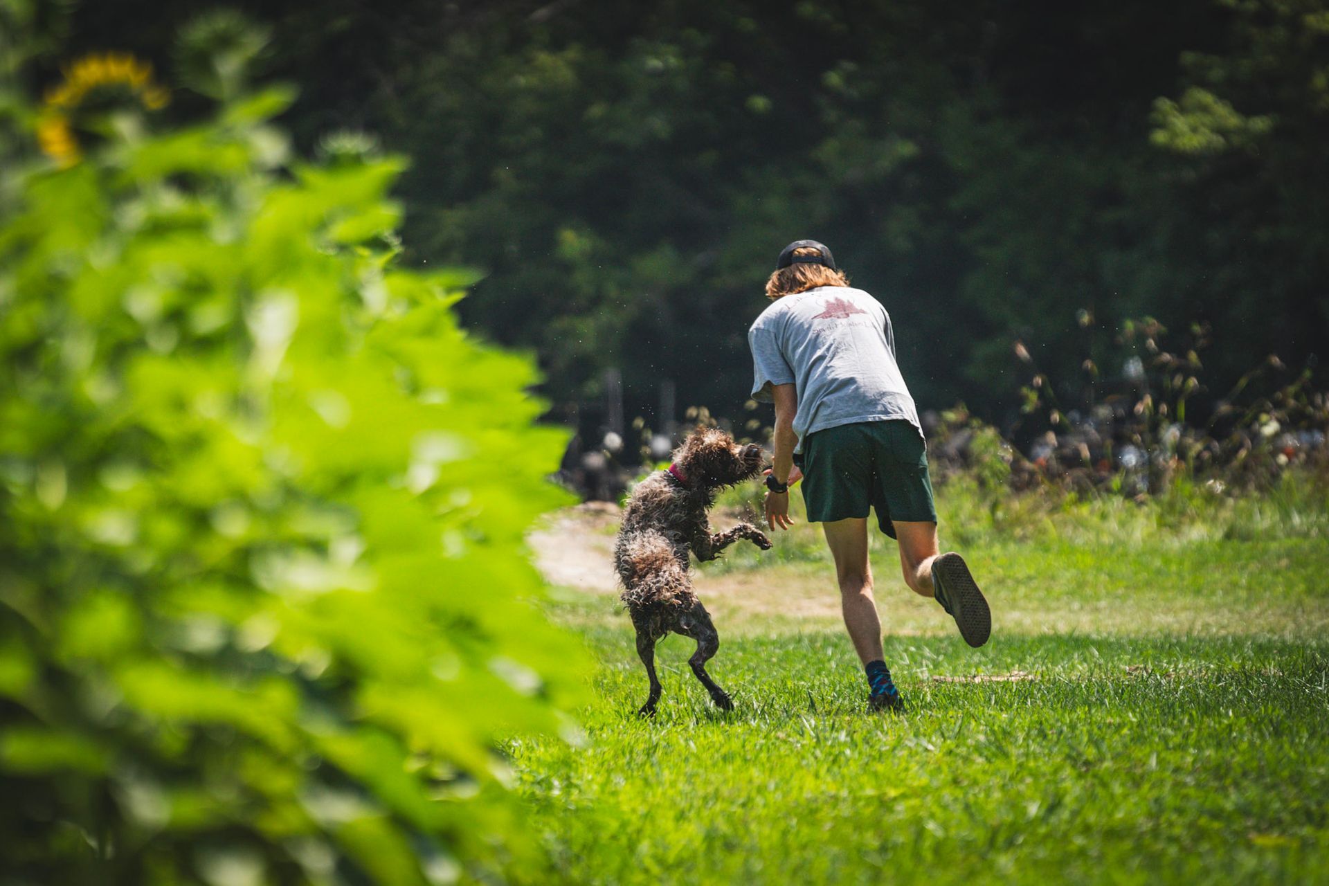 Dog and human