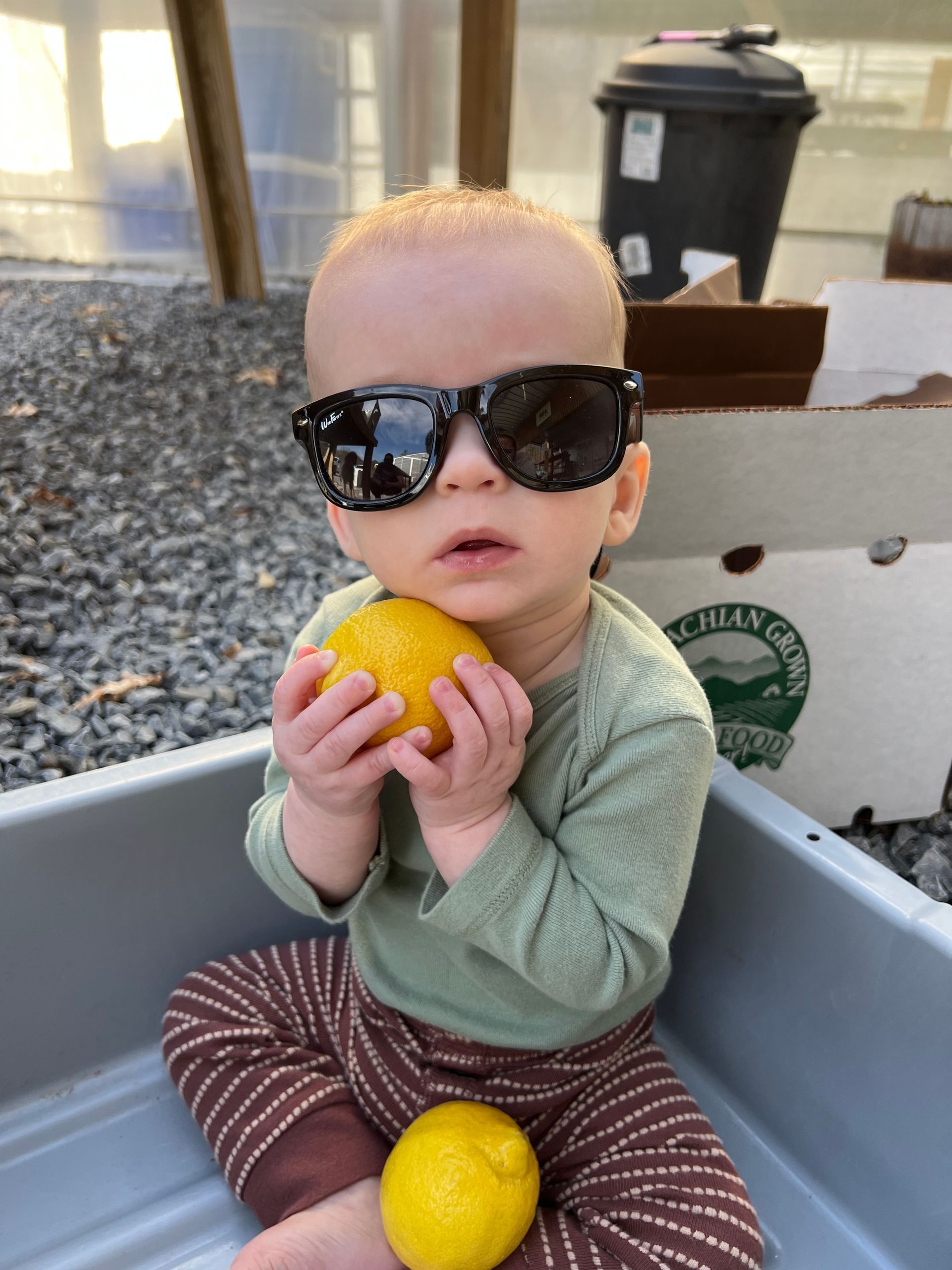 Farm baby
