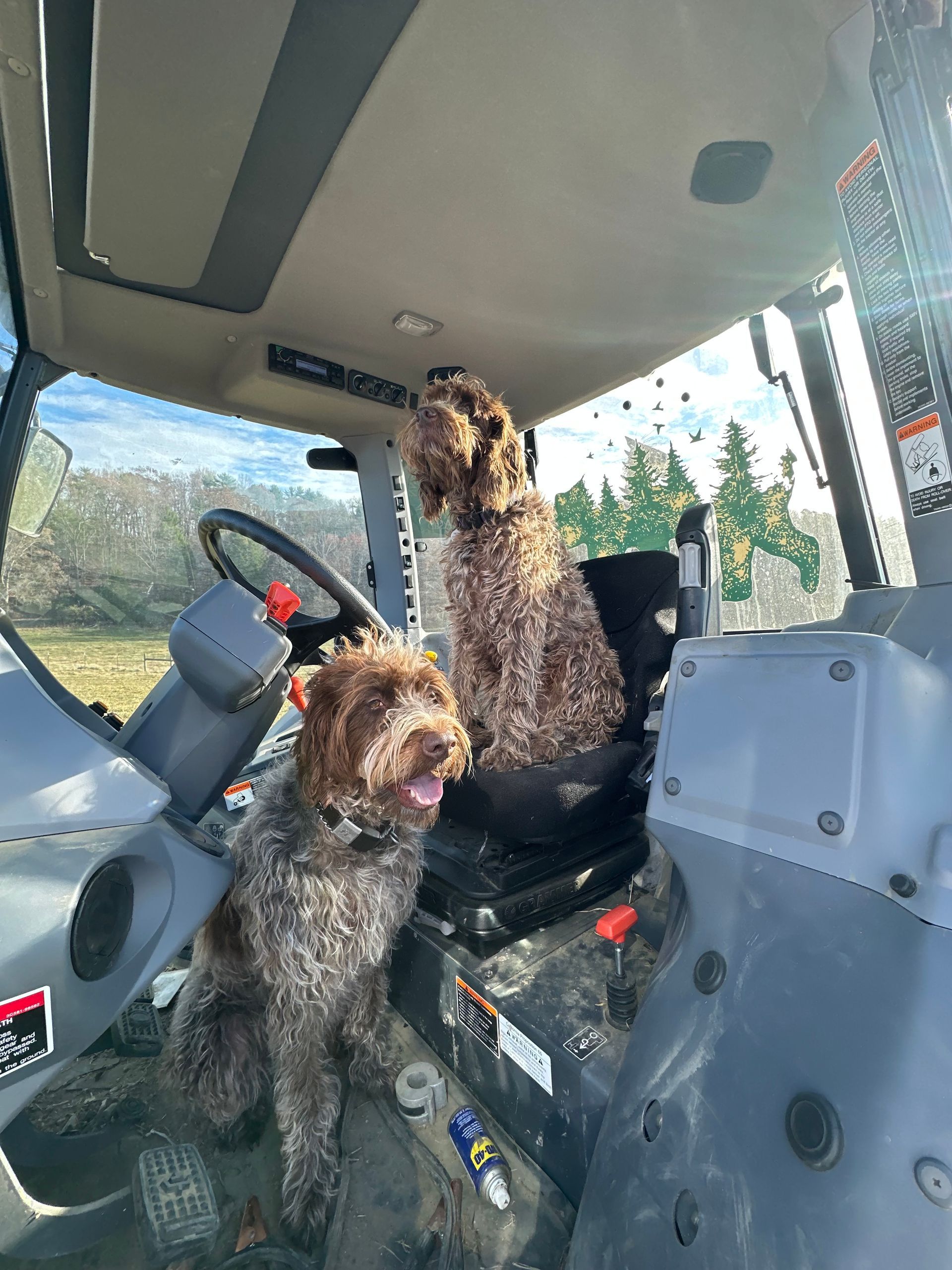 Dogs in tractors