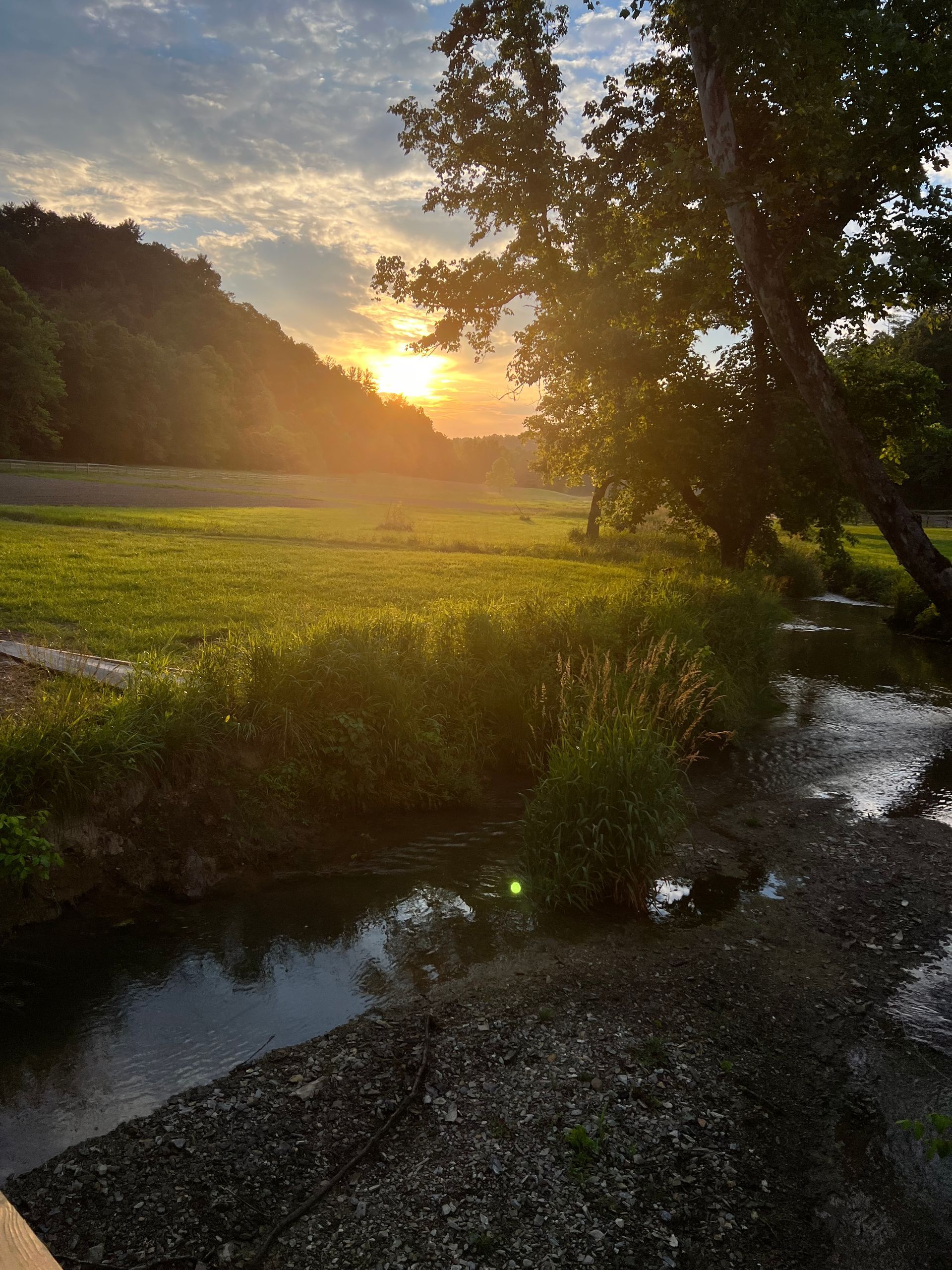 Mud hollow farms