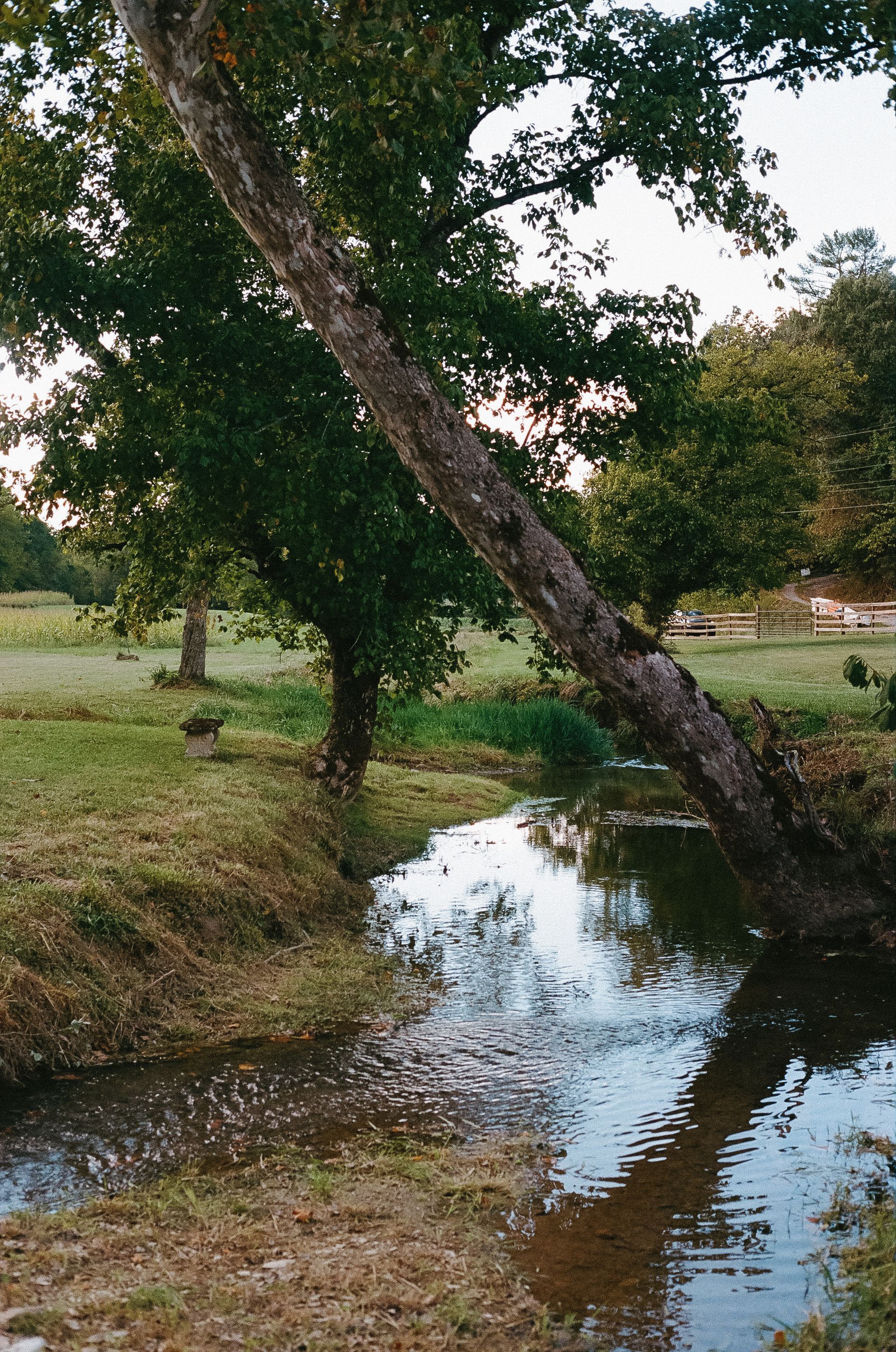 Mud Hollow Farms