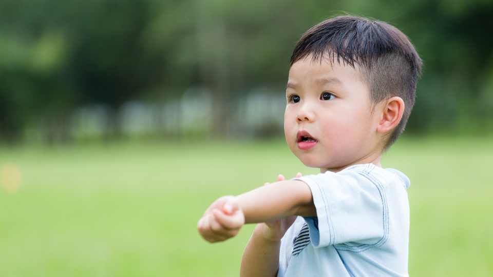impetigo treatment
