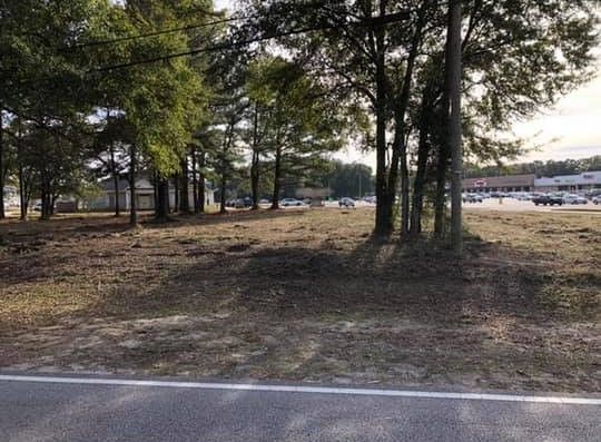 Trees and a dirt clearing beside a road, with parked cars in the distance
