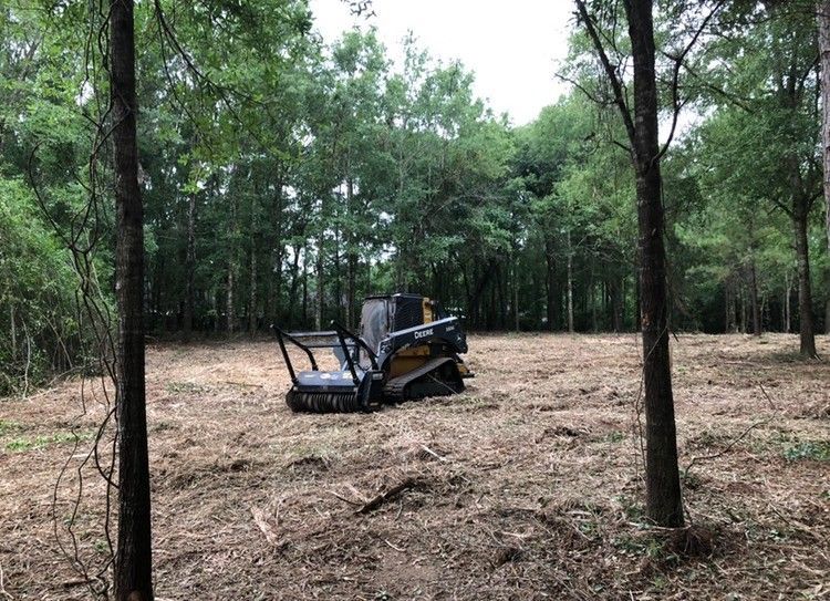 Small excavator clearing a forested area with cut brush on the ground
