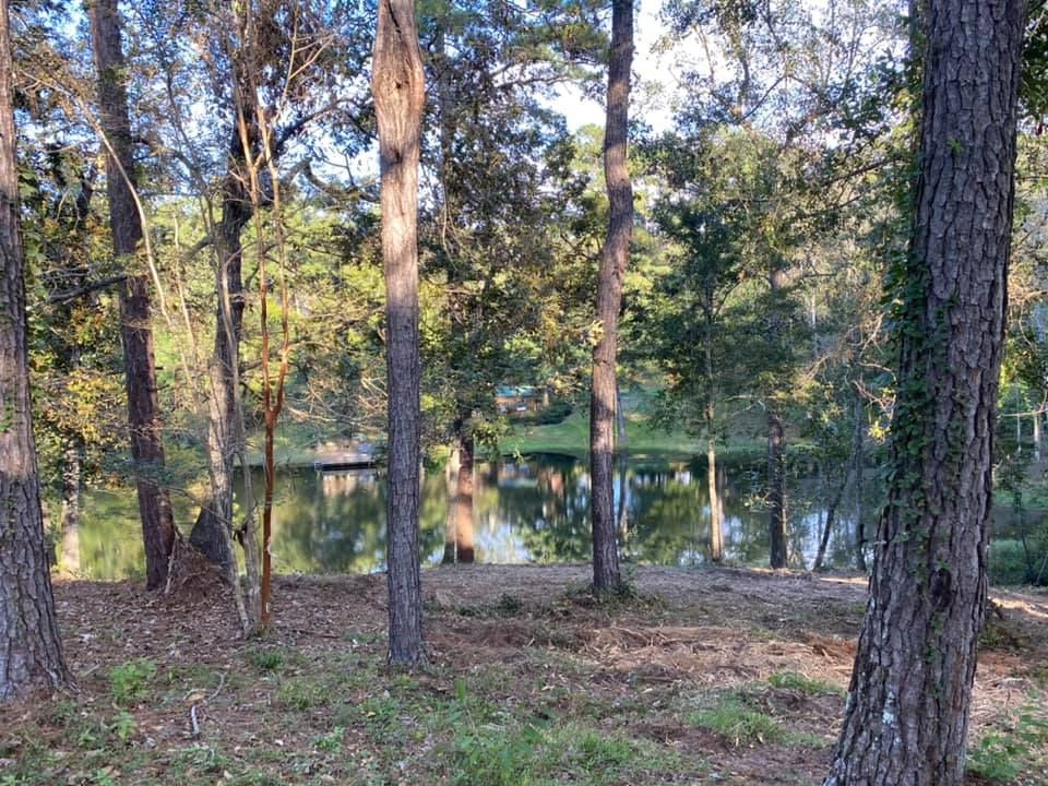 Wooded area with tall trees and a calm river or pond in the background