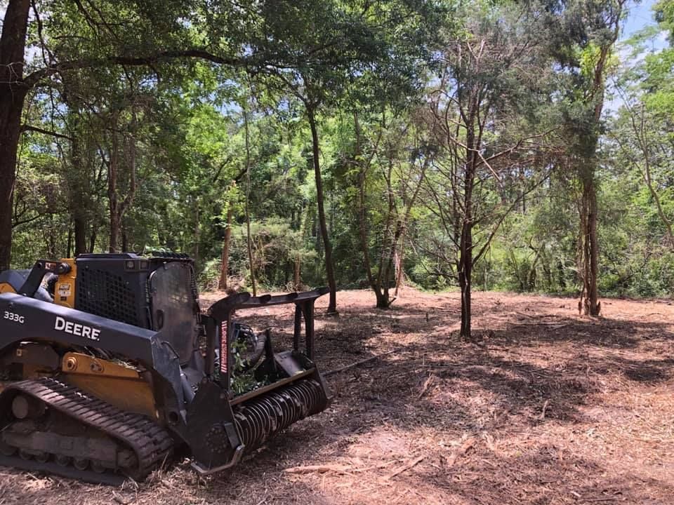 Backhoe in a wooded clearing, with trees and dry ground around it.