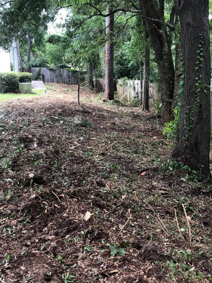 Wooded backyard path with trees, leaf-covered ground, and a fence along the right side