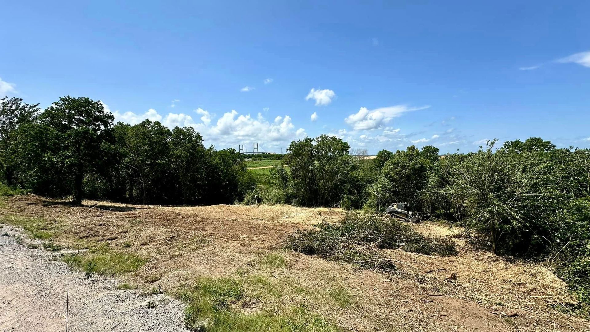 Dry grassy field with shrubs and trees under a bright blue sky, beside a gravel road