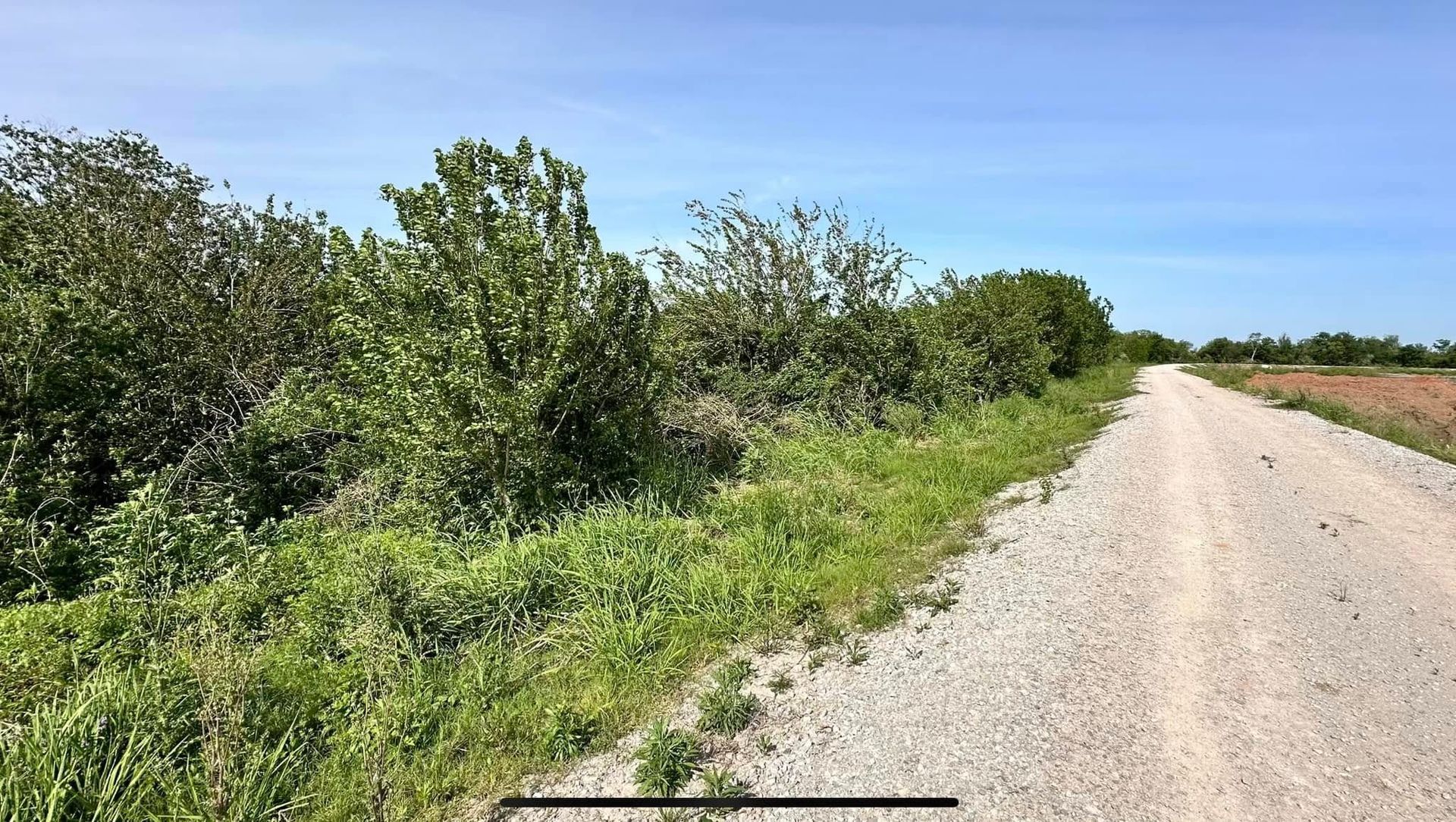 Dirt road beside green shrubs and trees under a clear blue sky