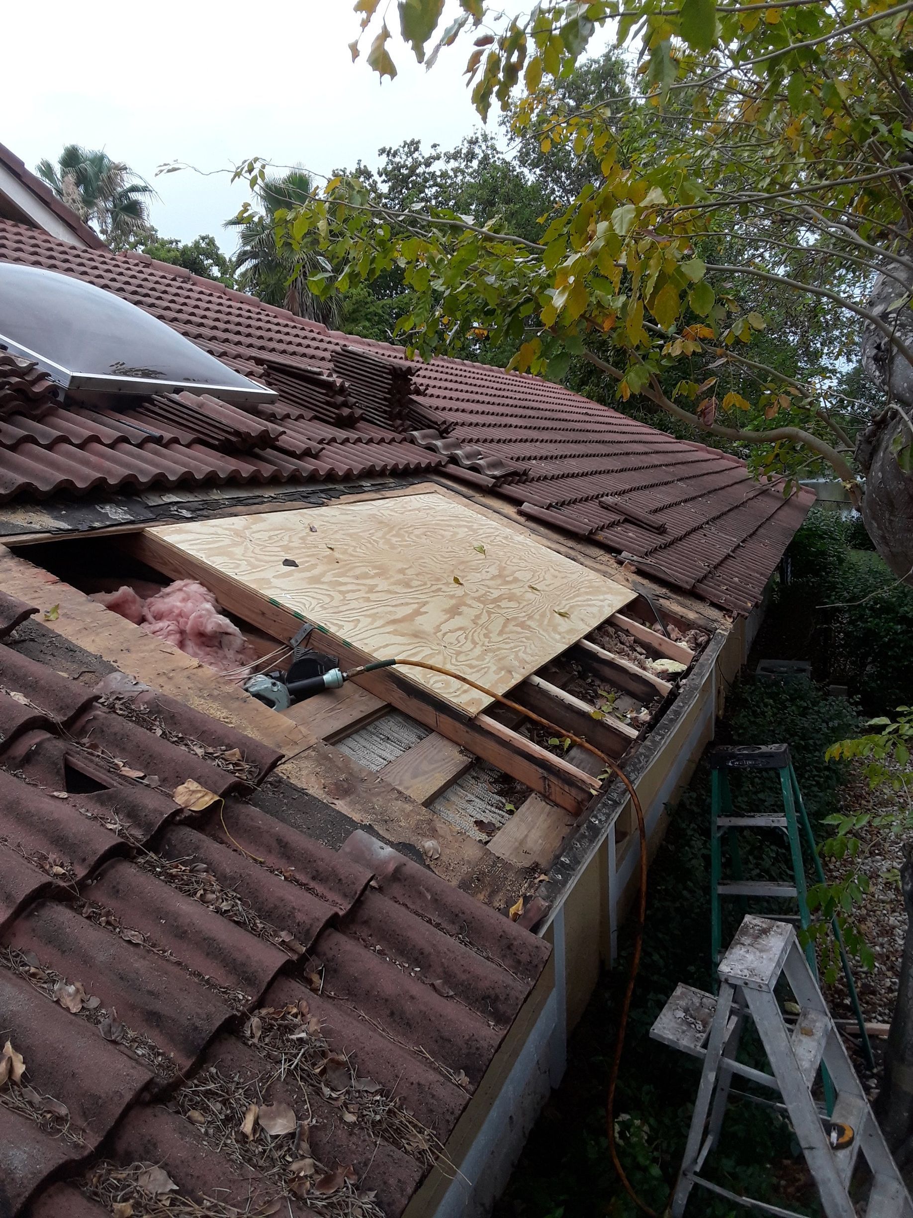 A roof with a ladder and a piece of plywood on it.