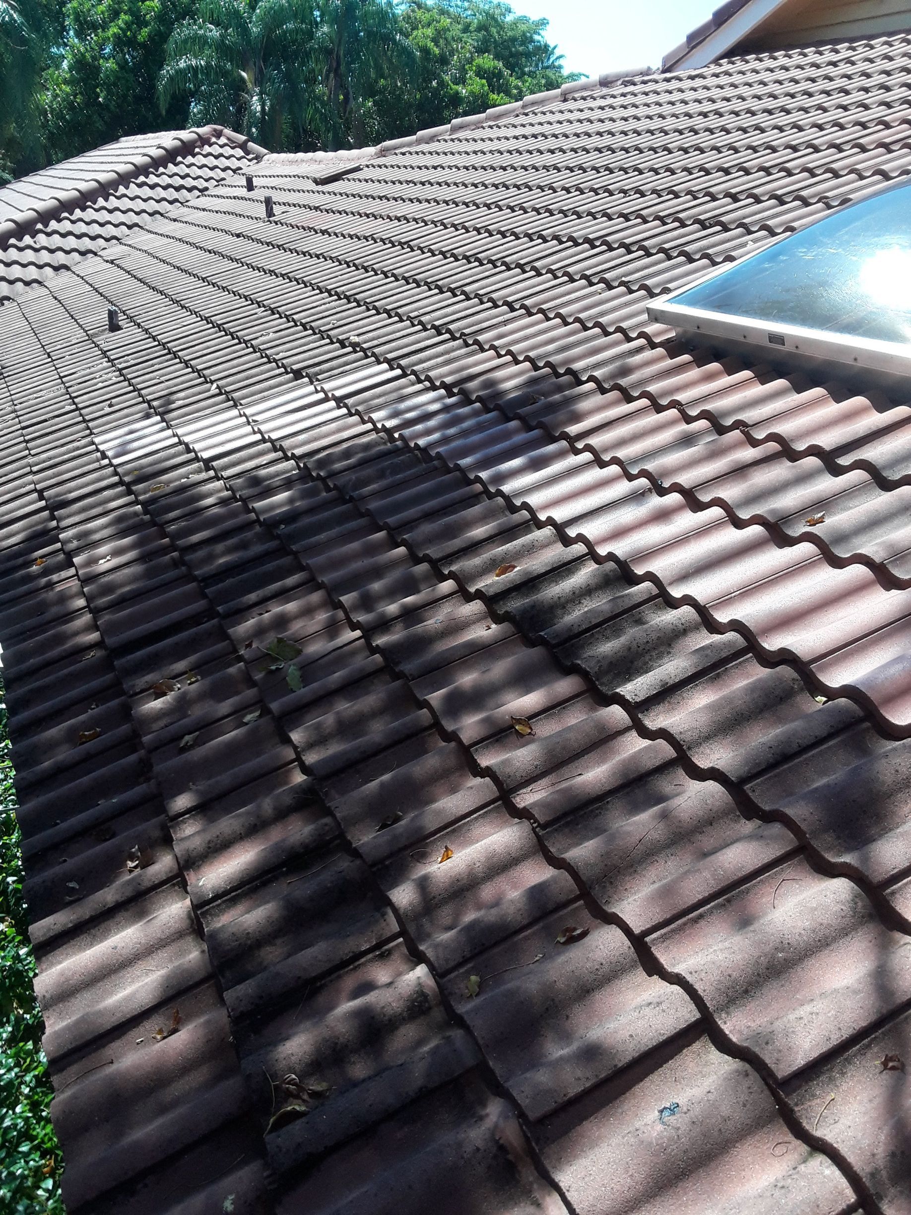 A close up of a tiled roof of a house with trees in the background.