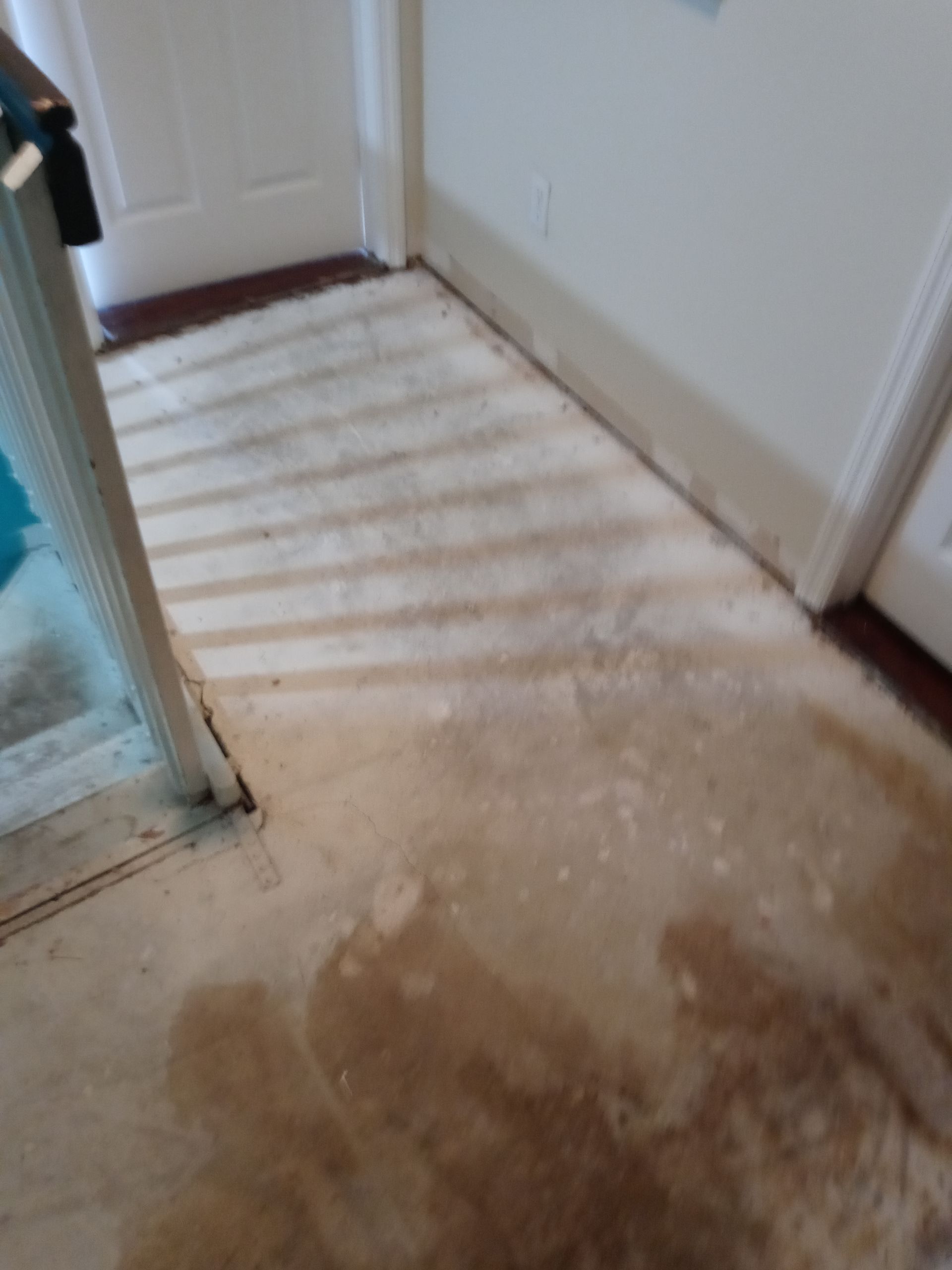 A dirty floor in a hallway next to a door.