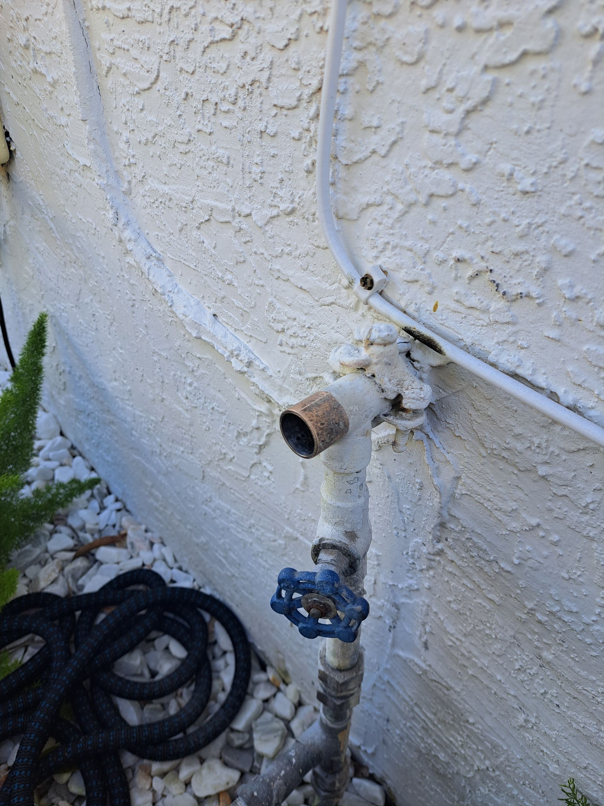 A water faucet with a blue handle is attached to a white wall.