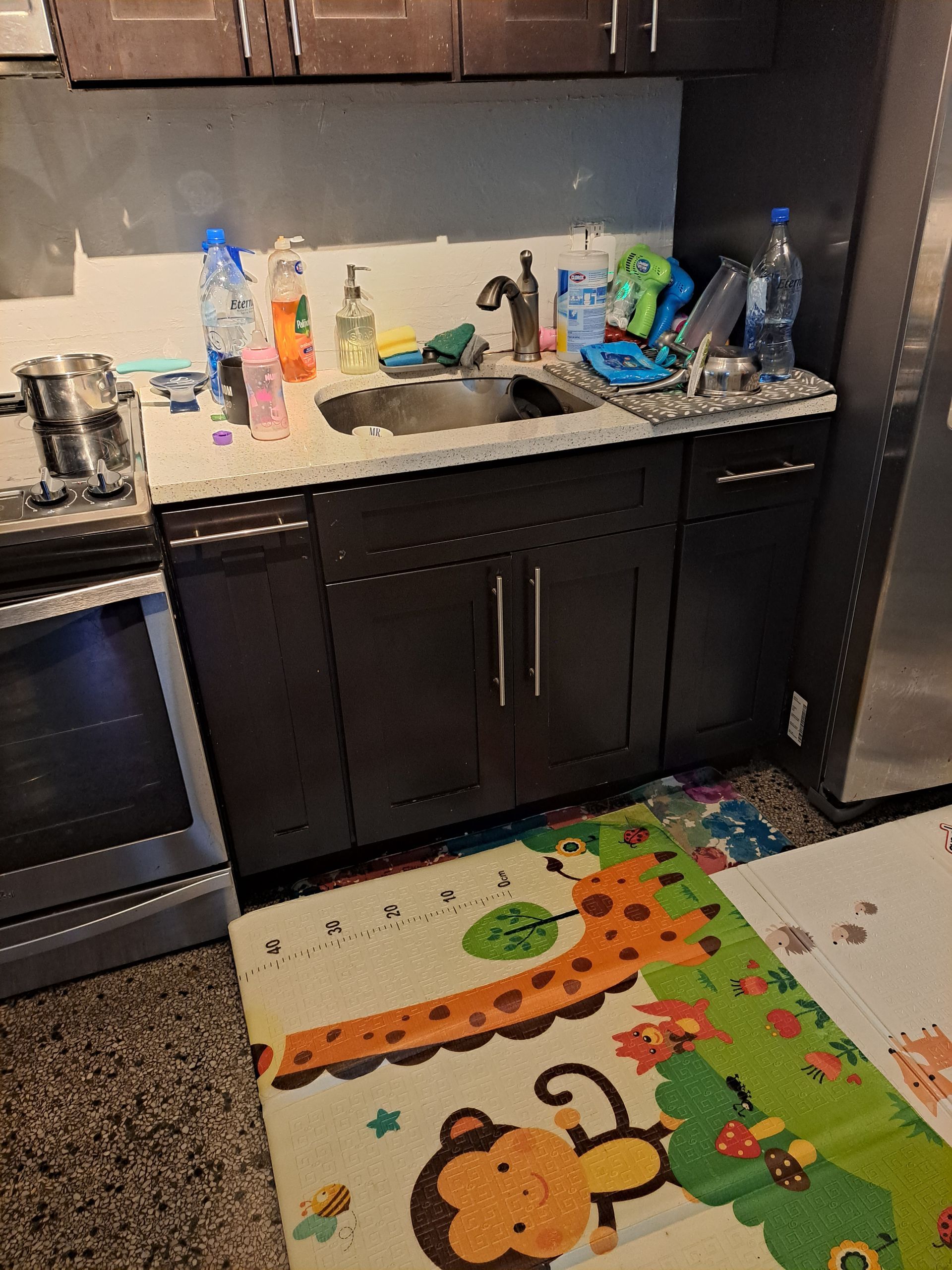 A kitchen with a monkey rug on the floor and a sink.
