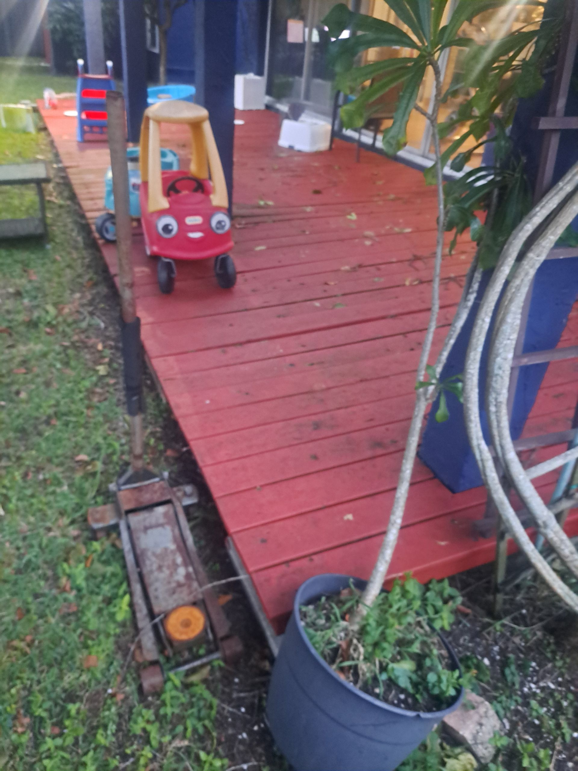 A red toy car is sitting on a wooden deck next to a potted plant.