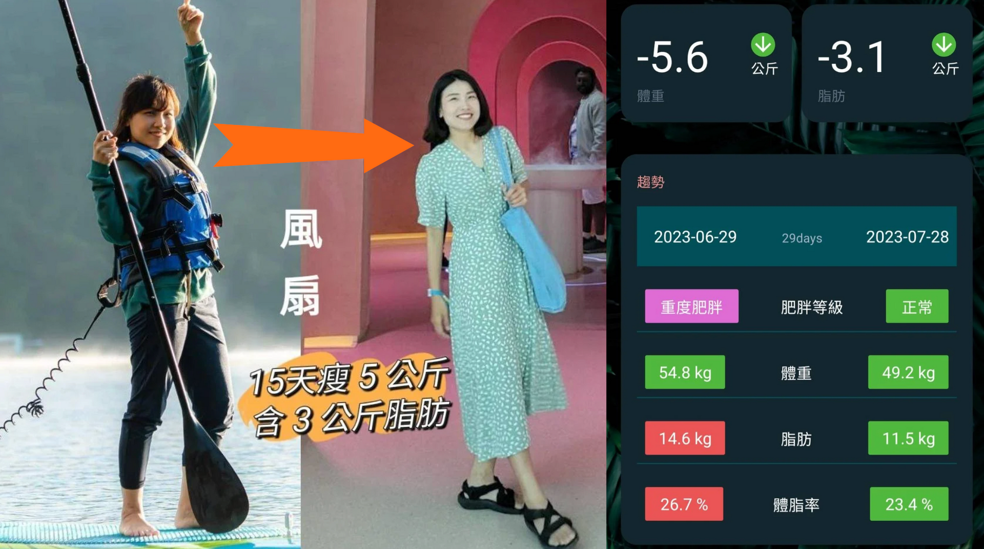 CNFCD® 全人健康計畫｜健康減脂顧問推薦｜風扇